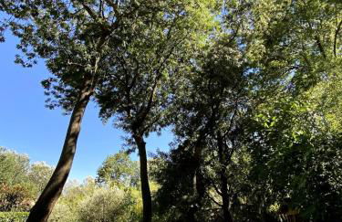 Maison entière 5 min du centre d'Avignon - Foto 25