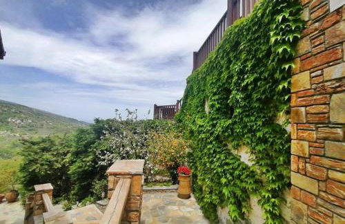 Lions Nine - Foto 20