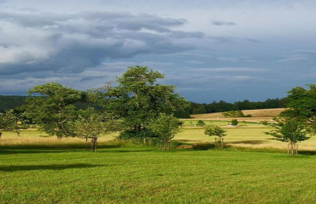 Chalet in Germany With Fireplace & Terrace - Photo 38