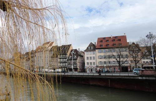 A L'ill - Apparts & Studios Strasbourg Hyper Centre - Foto 4