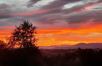 Pyrenees Vue Gite - Le Plus Commentaires Positifs - Vues Fantastique, Tres Bon Petit-Déjeuner, Calme, Piscine, Parking - Foto 42