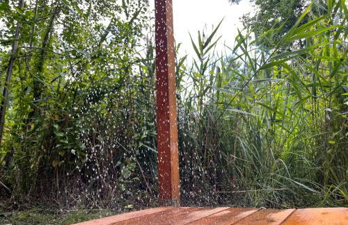 Häuschen in den Erlen - Photo 13