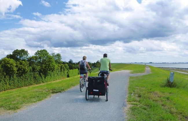 Holiday Home in Zeeland Near the Beach - Foto 43