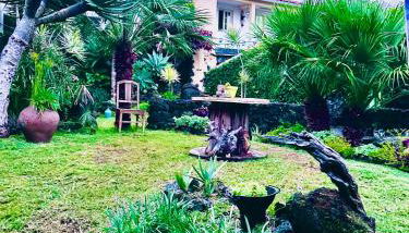 Portugal House - Foto 3