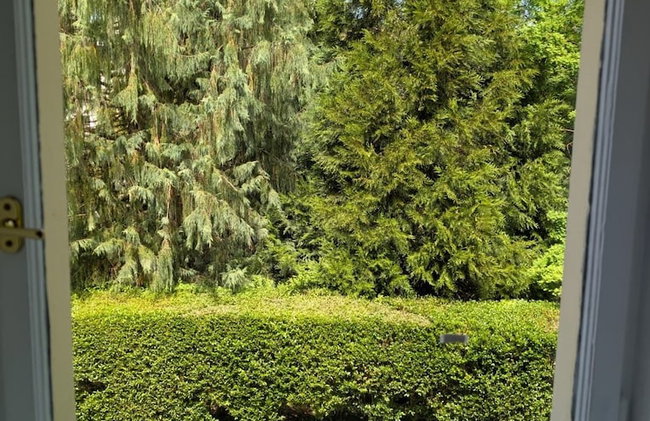 Villa Wurmfeld - Foto 46