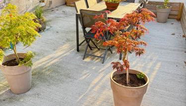 Industrial Lodge 85m² - Loft avec extérieur - Foto 2