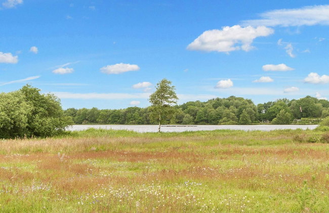 5 Star Holiday Home in Ansager - Foto 52