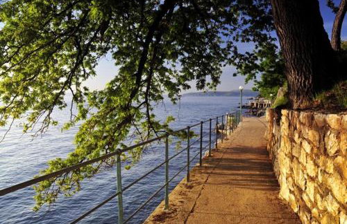 Apartman Halugica - Photo 20