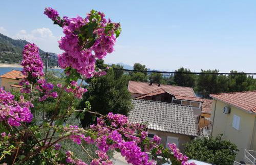 Apartman VeDE Baćina - Foto 27