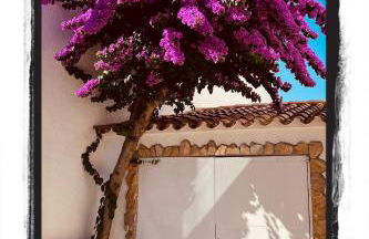 Casa Serenity au canal avec piscine et amarre - Foto 41