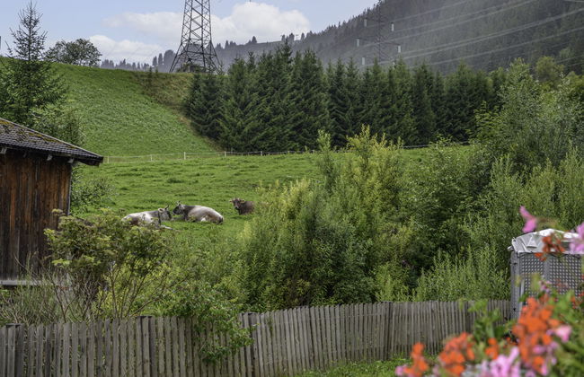 Schöngraben - Foto 4