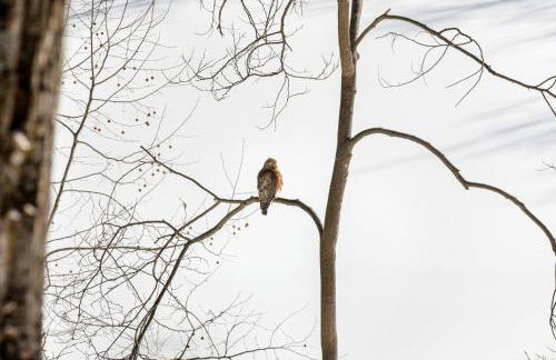 Lazy Lake 3BR Cabin w/ Mtn Views + Hot Tub +Wi-Fi - Foto 55