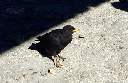 Ferienwohnungen Herbst - Photo 14