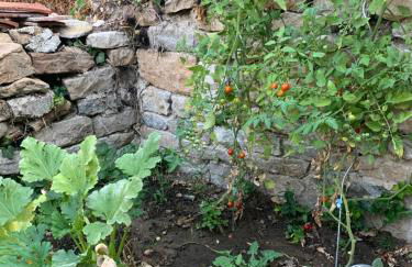 L'Arbois 1876-La Verrière- - Foto 24