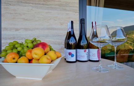 Villa Terra - Foto 23