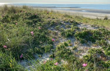 Ferienwohnung Gustav - Moderne Maisonette-Wohnung mit Terrasse - Foto 29