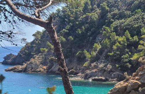 Appartement climatisé T3 vue mer de 63 M2 - 2 chambres et belle terrasse de 23 M2 - Foto 40