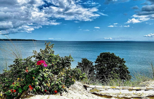 9 Person Holiday Home in Borkop-by Traum - Foto 24