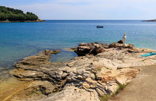 Apartments Kiki 150 METERS TO THE BEACH - Foto 43