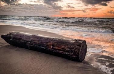 Paradiso Rusinowo - Foto 33