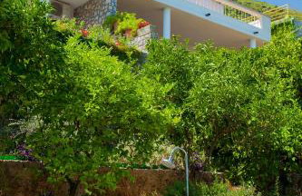 Apartment Villa Nede - Foto 54