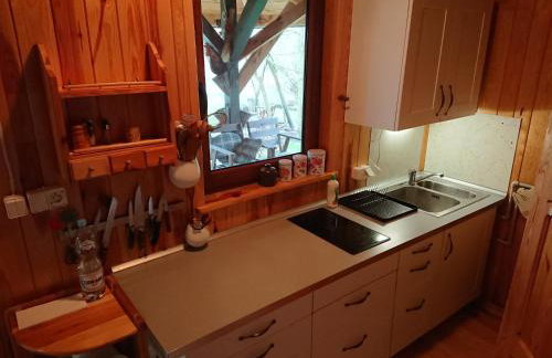 Małe Mazury- domek z łowiskiem - Photo 23