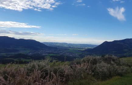 Ferienwohnung am Eichwald - Photo 34