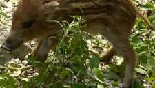 La casa di Mastro Ivetto - Foto 3