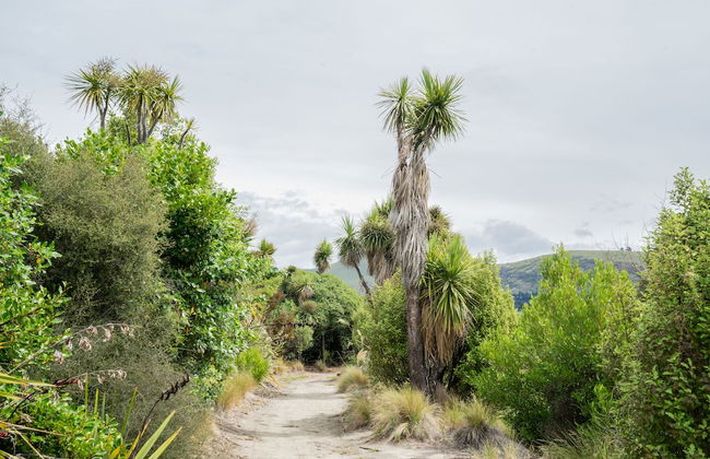 The Hutch - Top Spot - Photo 18