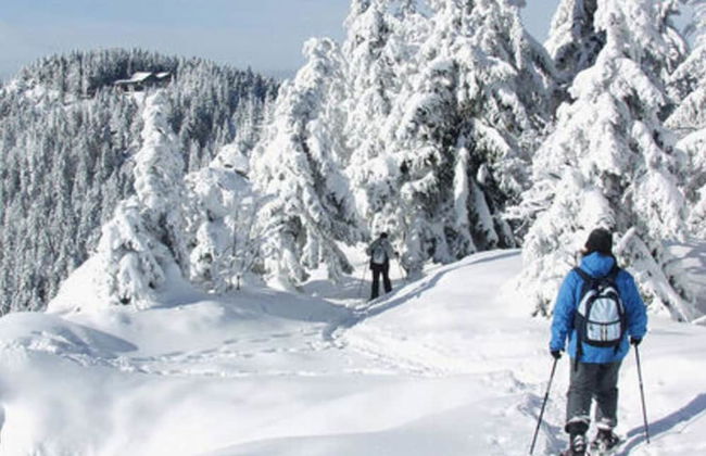 Mountain Apartment in Bad Kotzting - Foto 15