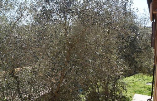 Agriturismo Bonzalone - Foto 62