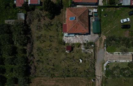 Dream in Chalkidiki 2 bedroom villa with garden - Foto 66