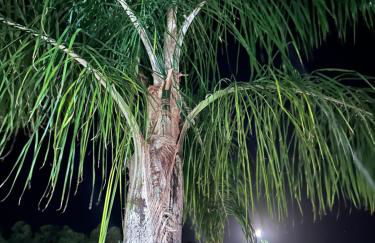 Aithonas Villa - Foto 66