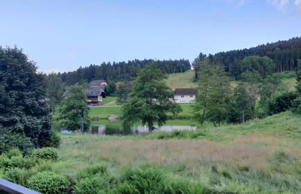 Ferienwohnung Seeblick mit Balkon - Mein Schwarzwaldhäusle - Foto 23