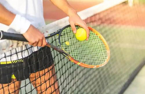 Casita De Cuervo at Shorefield Park - WIFI - Pet Friendly - Passes Included - Photo 50