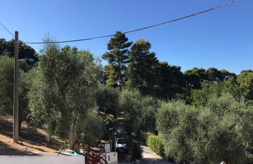 VILLA PINETA VISTA MARE - Foto 44