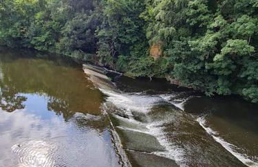 Georgia Lodge - Foto 13