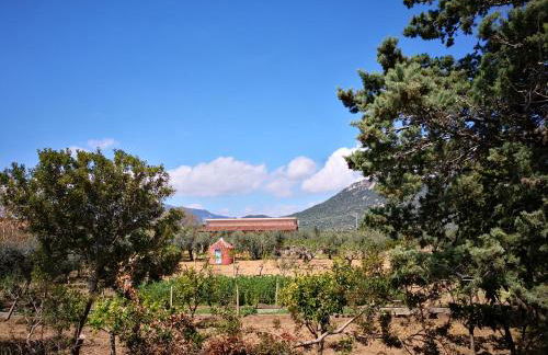 Villa Walter - Foto 30