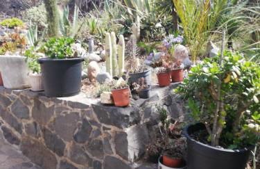 Casa Majores - Foto 20