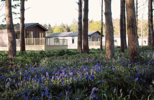 Hollicarrs - Wildflower Lodge - Photo 26