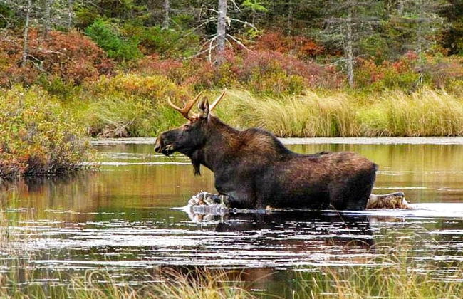 5 Person Holiday Home in Sarna - Foto 6