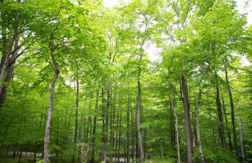 Gorgeous Chalet in the Poconos w/ Hot Tub! - Foto 29