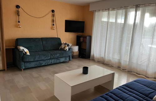 Appartement Les Palmiers - Vacances Cote d'Azur - Foto 5