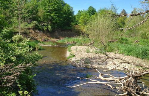 Creekside Escape on 200 acres - Foto 24