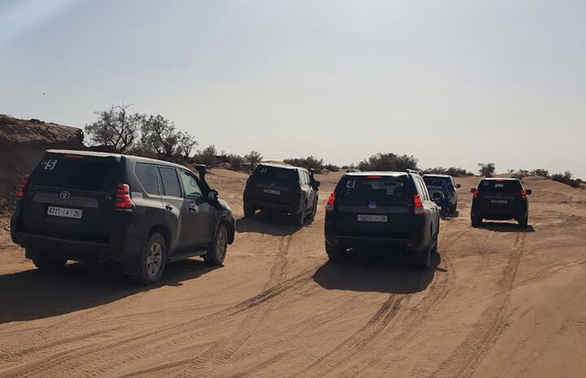 Autobus Turistici e Autonoleggio - Foto 25