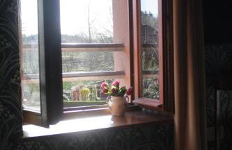 Les Chanterelles La souris des champs - Foto 20