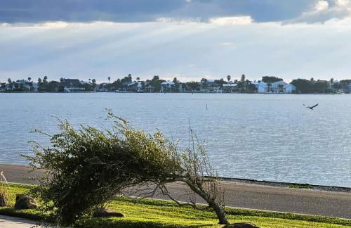 Pat's Perch - Foto 33