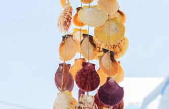 Captain Elias Studios 1 - Foto 31