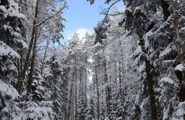 Gasthaus Piesau - Thüringer Wald - Rennsteig - Foto 68