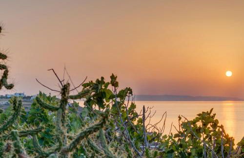 Cactus Guesthouse, Κίνι Συρος - Photo 37